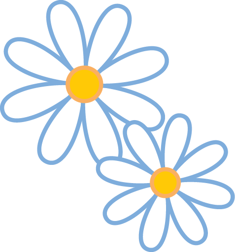 Two Snow Daisies